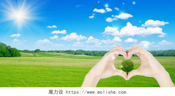 蓝天白云草地手心形树光效保护环境展板背景